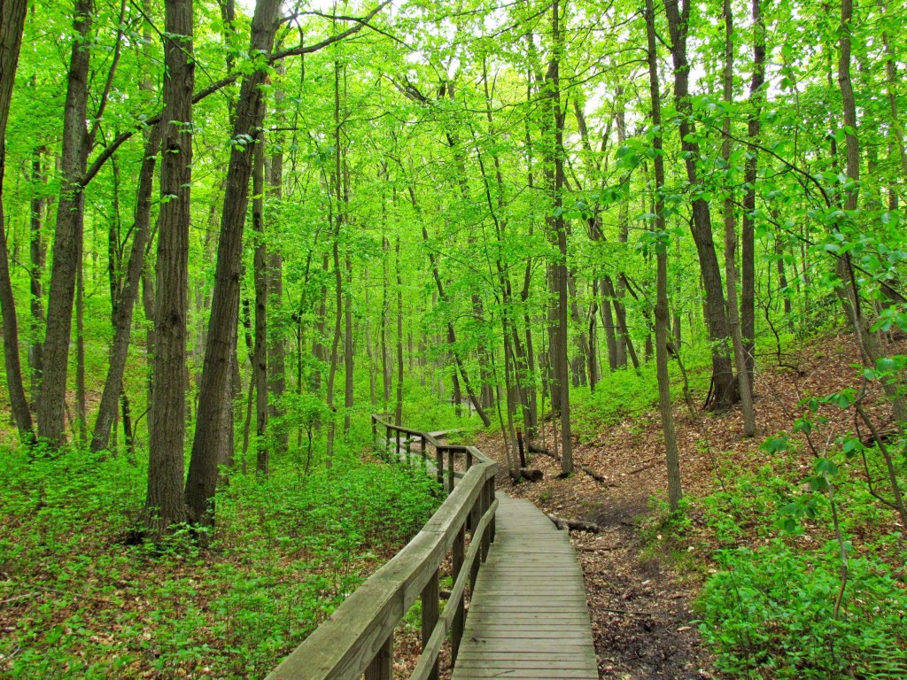 Picture of: Best Kid-Friendly Hiking Trails Near NYC