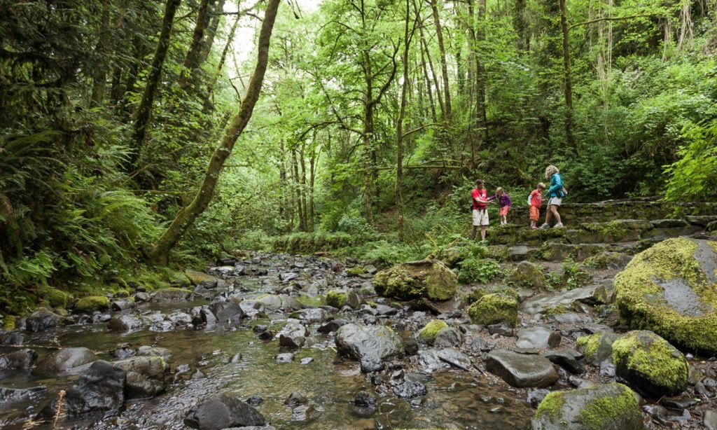Picture of: Kid-Friendly Hikes  The Official Guide to Portland