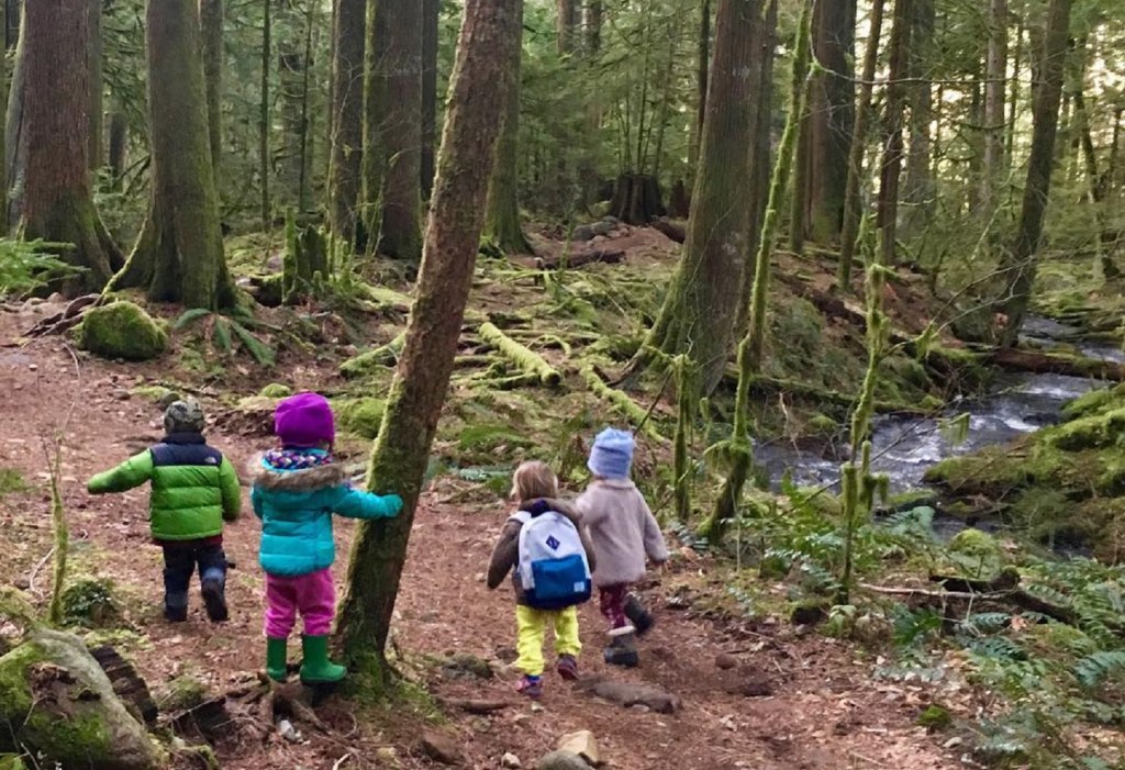 Picture of: Squamish’s Top  Kid-Friendly Fall Hikes  Tourism Squamish